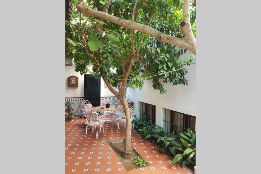 Casa En Granada Con Hermoso Jardin, Parking Calle מראה חיצוני תמונה
